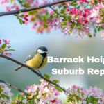 Barrack Heights Spring Report