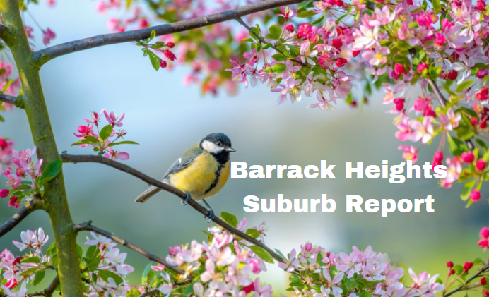 Barrack Heights Spring Report