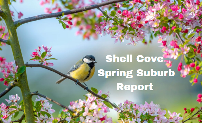 Shell Cove Spring Report
