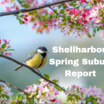 Shellharbour Spring Report