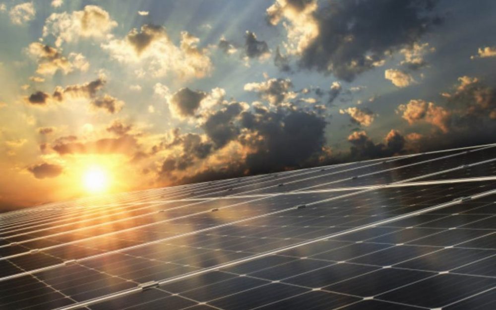 Top tips for green living Top tips for green living