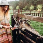 How best to enjoy a successful rural lifestyle