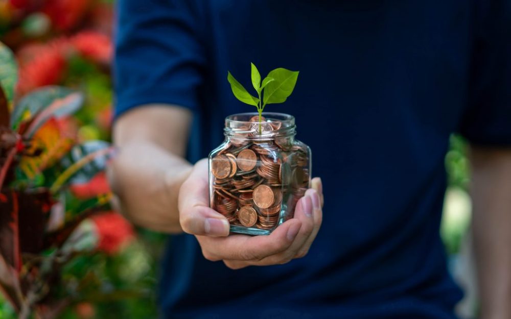 How to grow your money through your investments
