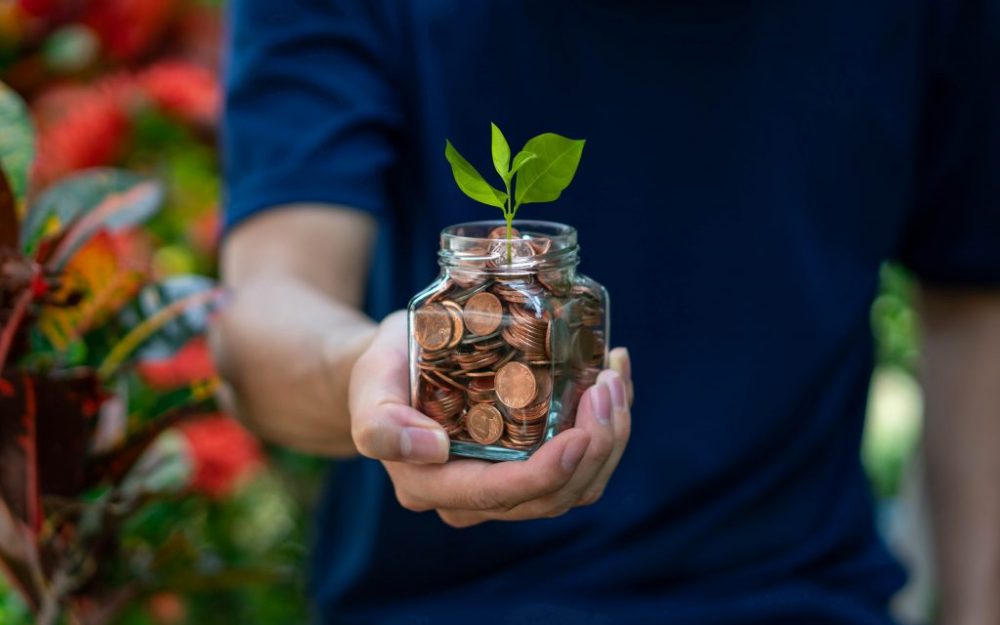 How to grow your money through your investments How to grow your money through your investments