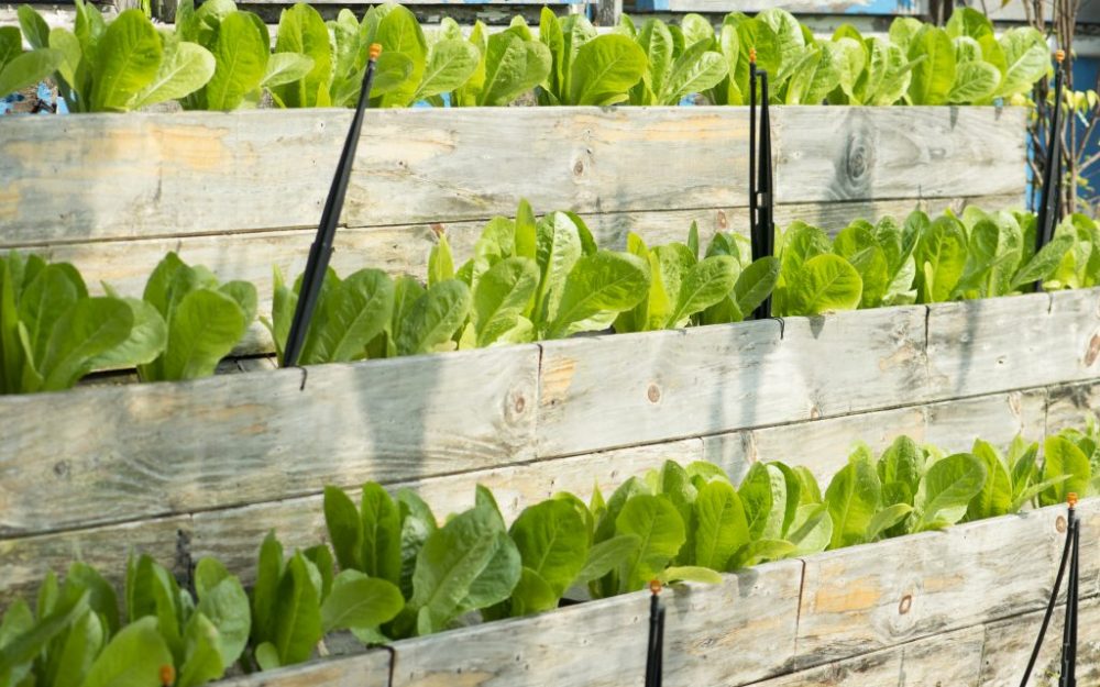 How to create a portable vertical garden How to create a portable vertical garden