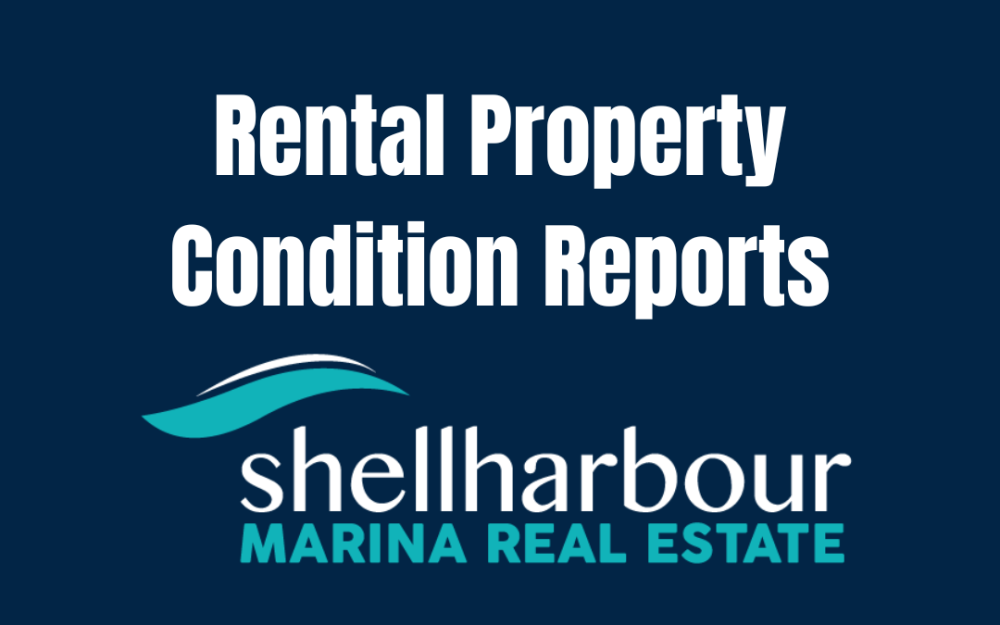 Rental Property Condition Reports