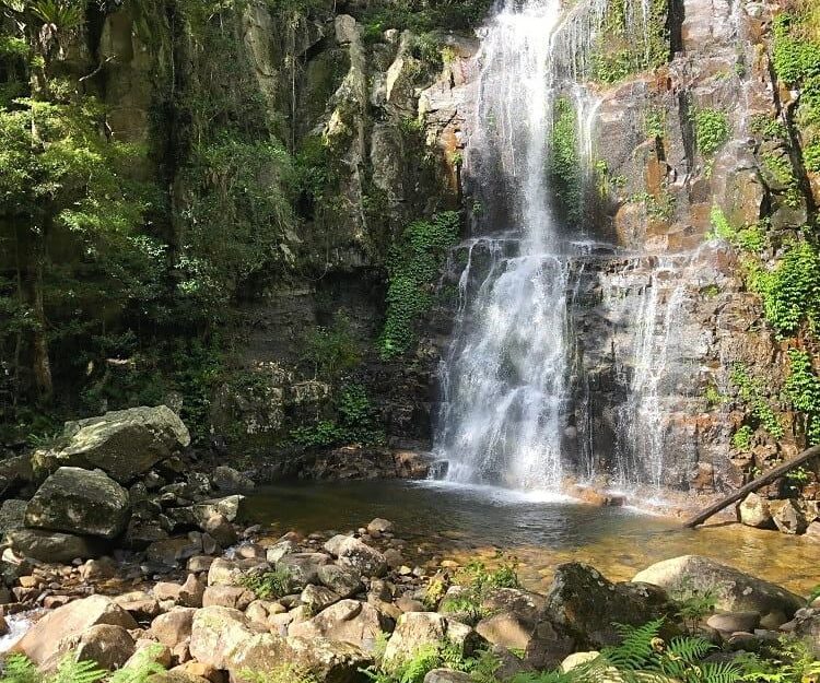 Minnamurra Falls and Rainforest Walk 😍 in Budderoo National Park 🌳 20km from Shellharbour 🌊