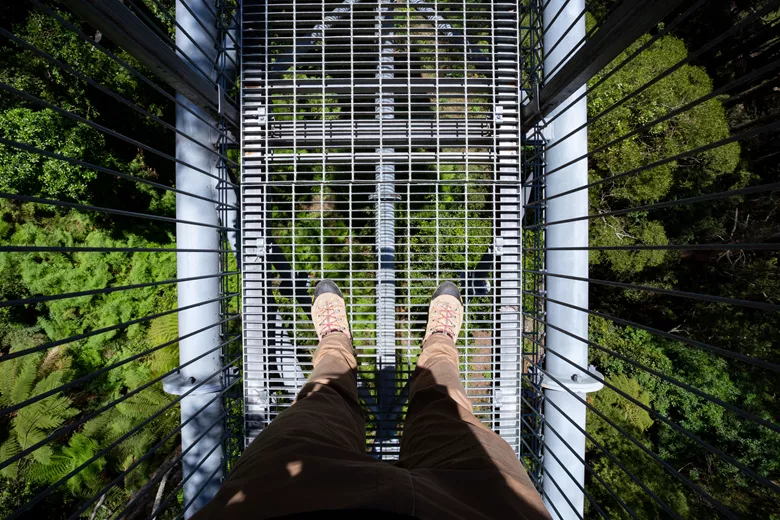 Illawarra Fly Treetop Adventures 🤩🌳 🌅
